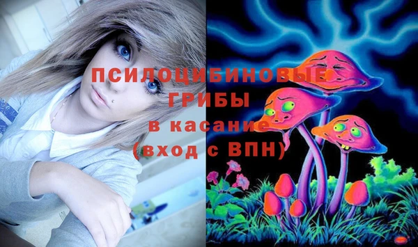 дмт Майский